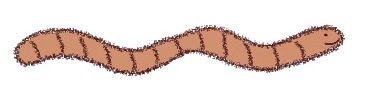 little brown worm logo